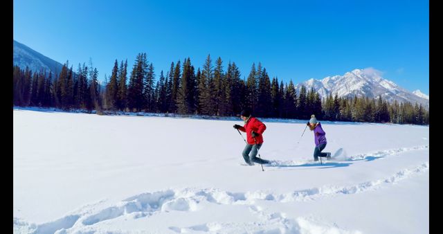 Couple moving through snow covered landscape during winter, surrounded by pine forest and mountains. Perfect for outdoors, adventure, winter sports, active lifestyle or travel promotions.