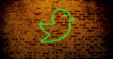 Neon Glowing Bird Icon on Rustic Brick Wall, Symbolizing Modern Communication - Download Free Stock Images Pikwizard.com