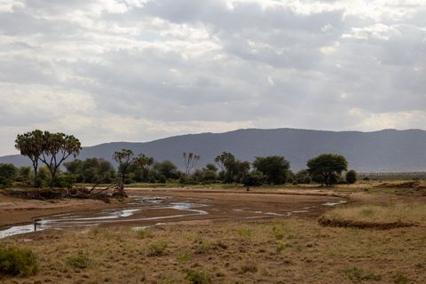 Meandering Dry Riverbed Crossing African Savanna Under Dramatic Cloudscape