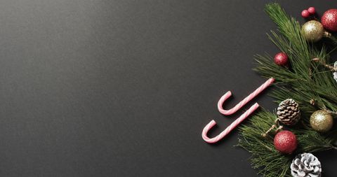 Festive Candy Canes with Pine Branch on Gray Background - Download Free Stock Images Pikwizard.com