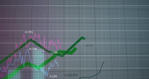 Dynamic Financial Data Animation with Line Graph