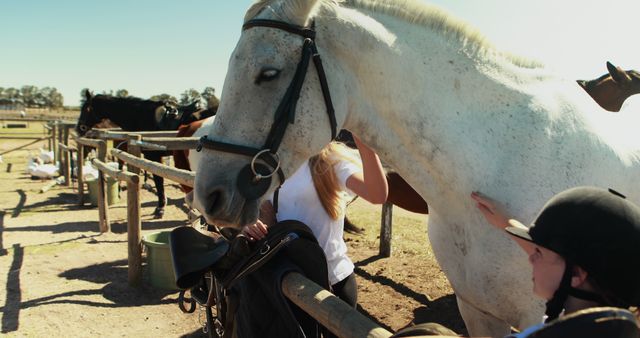 Preparing Horses for Riding at Equestrian Center - Download Free Stock Images Pikwizard.com