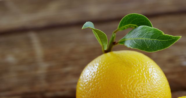 A fresh lemon with vibrant green leaves sits on a wooden surface, with copy space. Its bright yellow color and fresh appearance suggest healthiness and the potential for use in cooking or as a natural remedy.