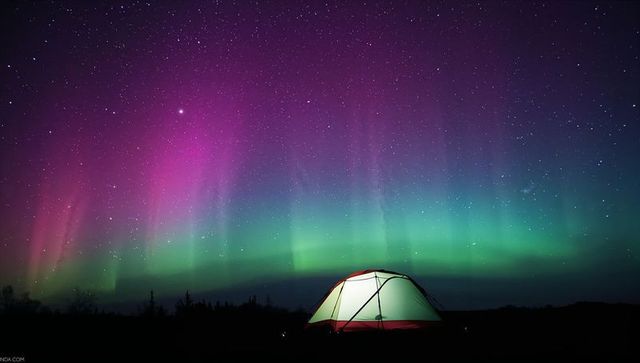 Glowing Tent Camping Under Vibrant Purple and Green Northern Lights Over Remote Wilderness