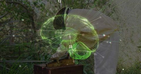 Senior Beekeeper Inspecting Hive with Digital Brain Overlay
