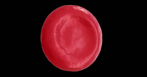 Close-Up of Red Blood Cell on Black Background - Download Free Stock Images Pikwizard.com