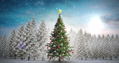 Festive Christmas Tree in Snowy Forest Clearing at Sunrise