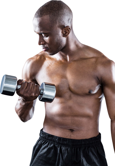 Muscular Athlete Exercising with Dumbbell in Transparent Background - Download Free Stock Videos Pikwizard.com