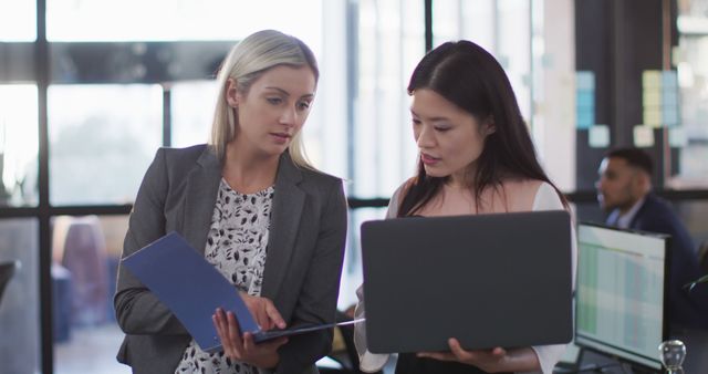 Business Women Discussing Project in Modern Office - Download Free Stock Images Pikwizard.com