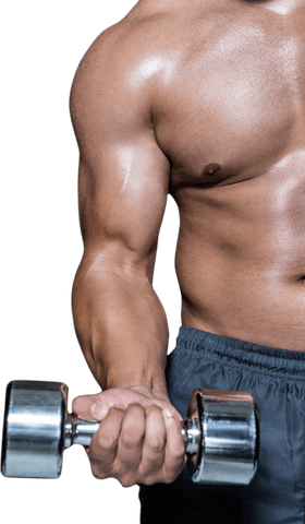 Transparent Muscular Arm with Dumbbell