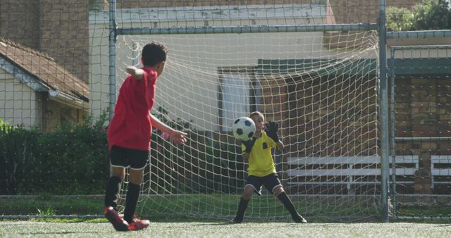 Young Soccer Players Practicing Goalkeeping and Scoring - Download Free Stock Images Pikwizard.com