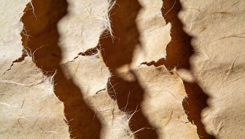 Torn corrugated cardboard revealing wavy inner flute and frayed fibers macro texture
