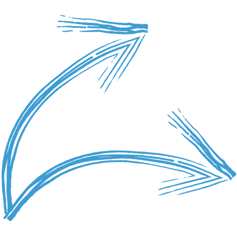 blue arrows on transparent background illustration vector - Download Free Stock Videos Pikwizard.com