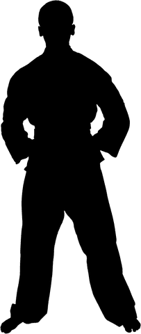male martial artist silhouette on transparent background illustrates fitness - Download Free Stock Videos Pikwizard.com