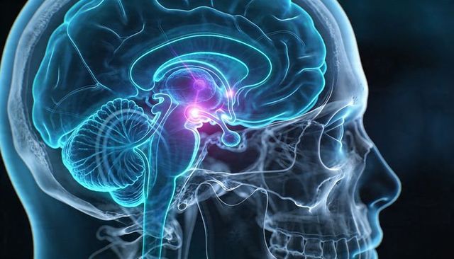 Translucent lateral skull x-ray showing glowing 3d brain highlighting pituitary gland