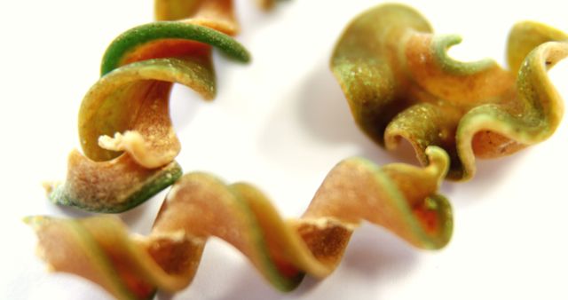 Close-Up of Twisted Dry Colorful Pasta on White Background - Download Free Stock Images Pikwizard.com