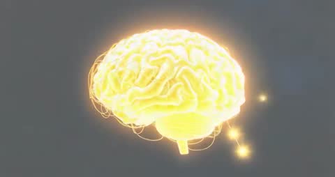 3D Illuminated Brain Model Representing Neural Activity