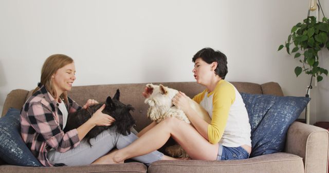 Two Women Having Fun With Dogs On Cozy Sofa At Home - Download Free Stock Images Pikwizard.com