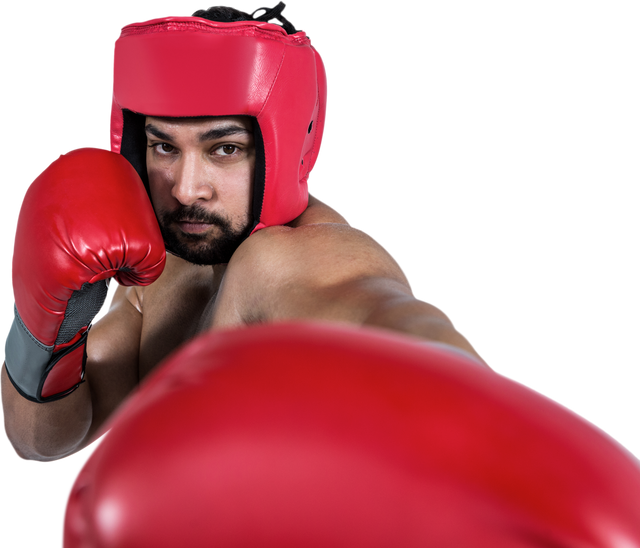 Aggressive Boxer Wearing Red Gloves and Protective Headgear on Transparent Background - Download Free Stock Videos Pikwizard.com