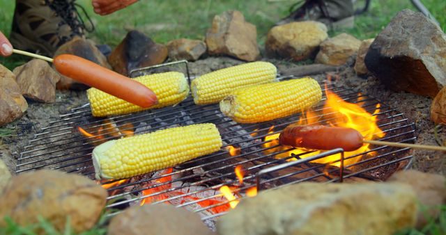 Close-up of friends roasting hot dog and corn on campfire. Friends camping together in the forest 4k