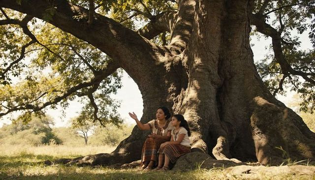 Mother and daughter sitting under ancient tree pointing toward sunlit meadow