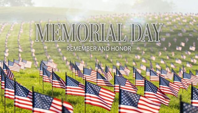 Memorial day american flags waving in neat rows across grassy memorial lawn at sunrise