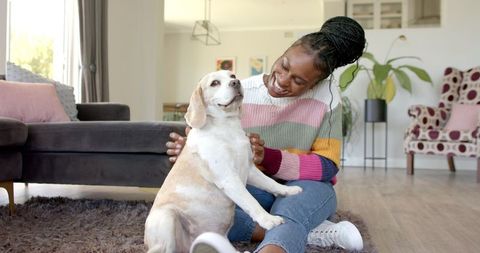 Happy Woman Bonding With Beagle Dog in Cozy Living Room