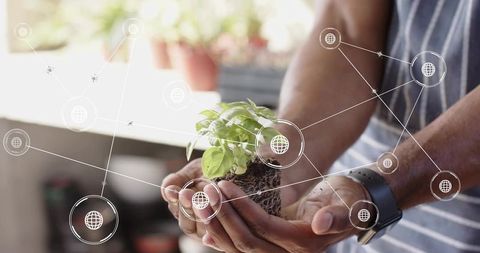 Gardener Embraces Digital Technology Holding Seedling by Window