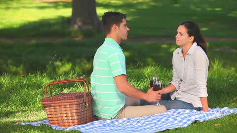 Couple Enjoying Picnic with Wine in Sunnyside Park