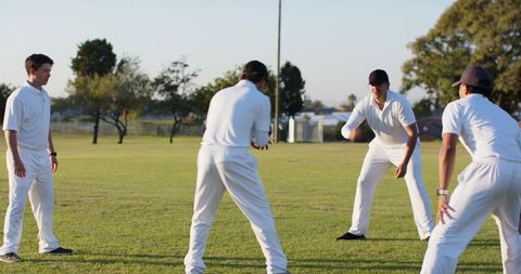 Diverse Male Cricket Team Practicing Fielding and Bowling on Sunny Grass Training Ground