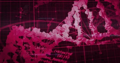 Magenta dna helix digital visualization with grid nodes, data graphs and neon ribbons