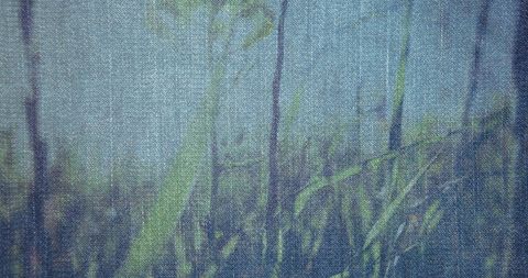 Denim Texture with Grass and Floral Abstract Design