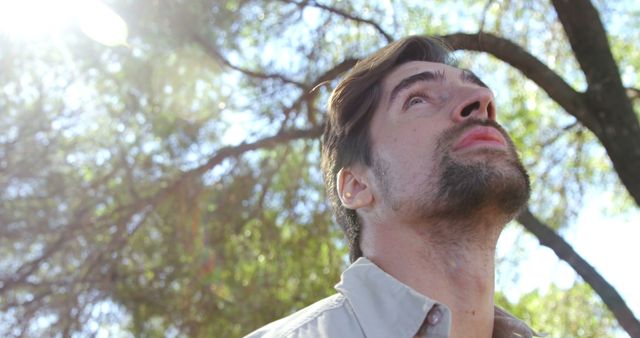 Thoughtful Young Man Gazing at Sunlit Trees - Download Free Stock Images Pikwizard.com