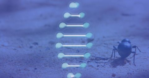 Bug and Spinning DNA Strand for Innovative Research