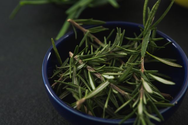 Close-up of rosemary herb in a bowl