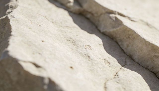 Sunlit limestone slab showing fine texture and hairline cracks, closeup geological detail