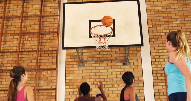 Group of Young Women Playing Basketball in a Gymnasium - Download Free Stock Images Pikwizard.com