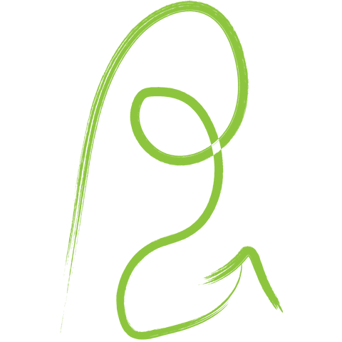 curved green arrow on transparent background - Download Free Stock Videos Pikwizard.com