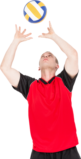 Determined Volleyball Player with Transparent Background - Download Free Stock Videos Pikwizard.com