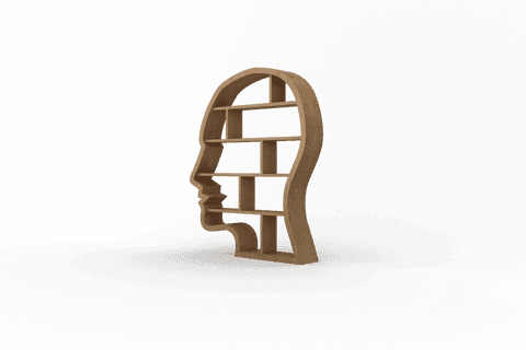 Transparent Head-Shaped Bookshelf for Knowledge and Creativity - Download Free Stock Videos Pikwizard.com