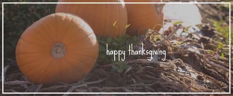 Thanksgiving greeting with festive pumpkins
