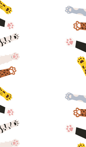 colorful animal paw border on transparent background - Download Free Stock Videos Pikwizard.com
