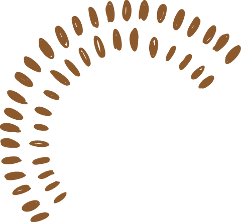 stylized sunburst arc with brown ovals on transparent background - Download Free Stock Videos Pikwizard.com