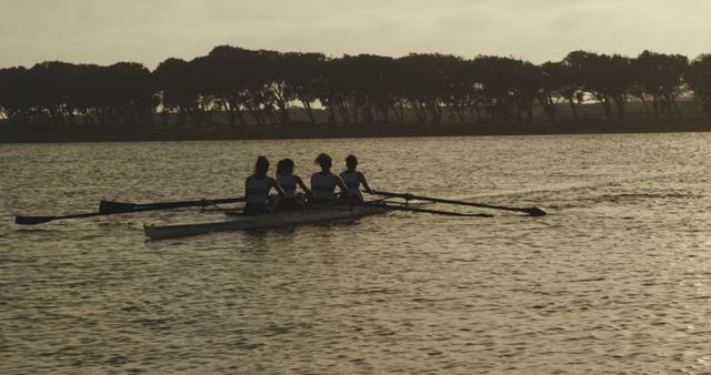 Team of Women Rowers Exercising on Calm Water at Sunrise - Download Free Stock Images Pikwizard.com