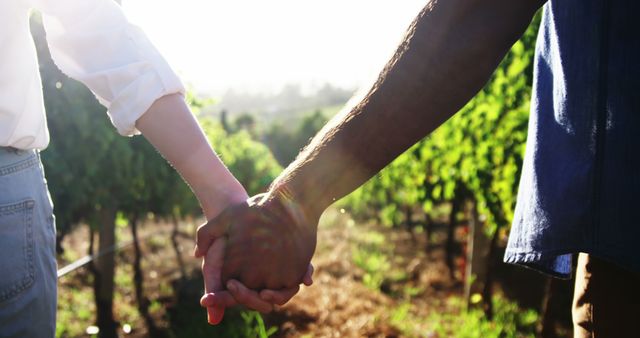 A Caucasian and an African American individual are holding hands in a vineyard, symbolizing friendship or a romantic relationship. Their interlocked hands against the backdrop of lush greenery convey a sense of unity and partnership.
