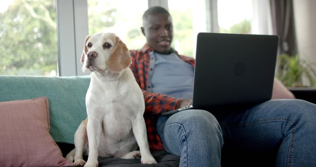 Man sitting on a couch at home, working on a laptop with a Beagle dog sitting beside him. Ideal for concepts related to remote work, pet-friendly homes, work-life balance, and companionship.