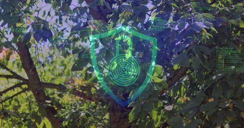Digital cybersecurity shield over green tree canopy