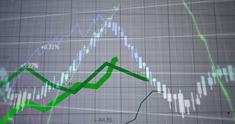 Dynamic Financial Graphs and Data Analysis in Virtual Environment