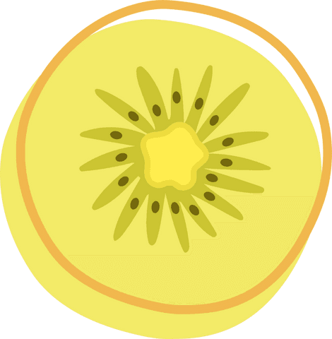 golden kiwi slice flat design on transparent background - Download Free Stock Videos Pikwizard.com