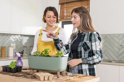 Repotting herbs on kitchen island with green planter, smiling diverse friends gardening together